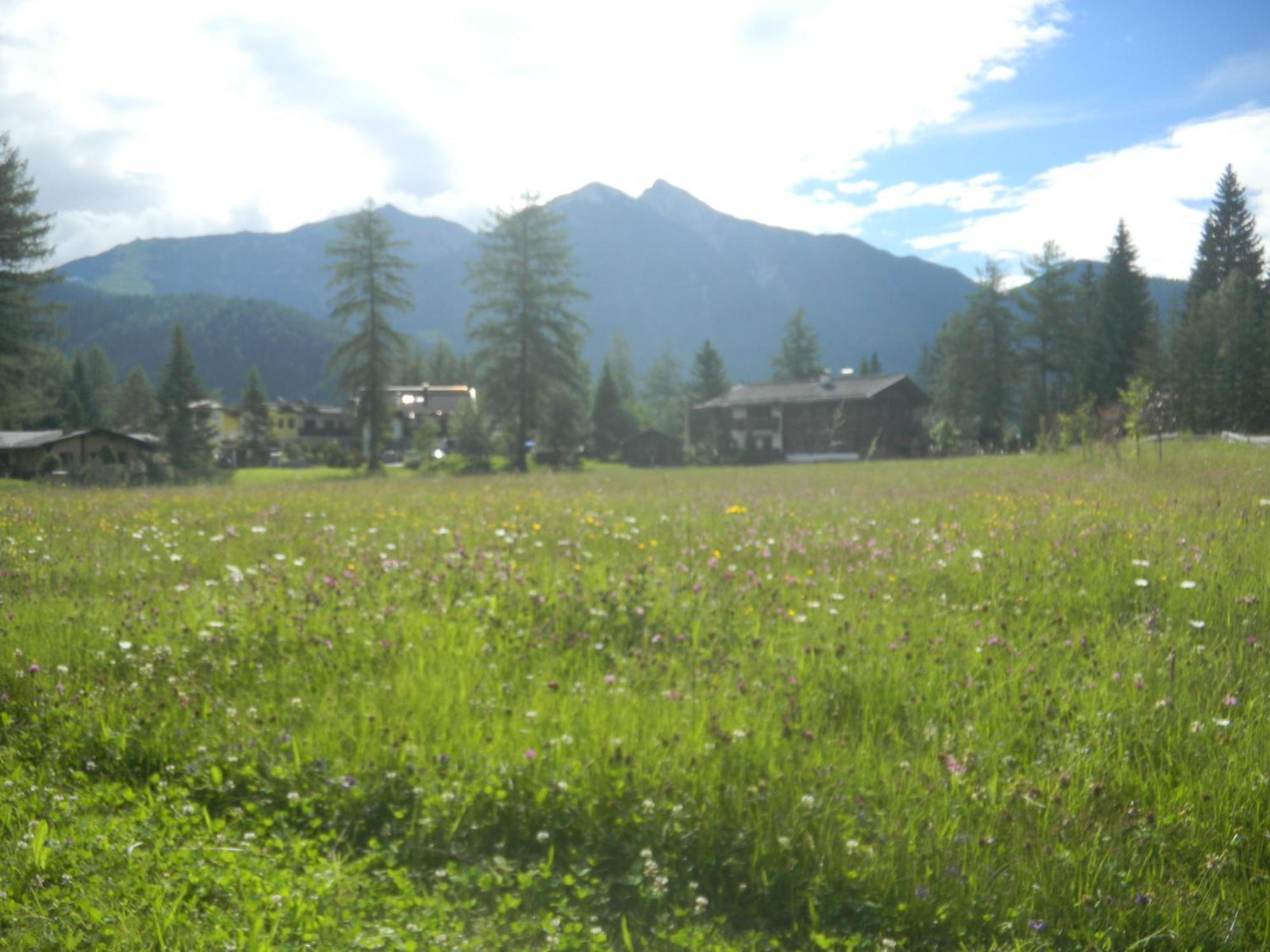 Landhaus Charlotte Am Geigenbuehel -Apartments Seefeld w Tirolu Zewnętrze zdjęcie