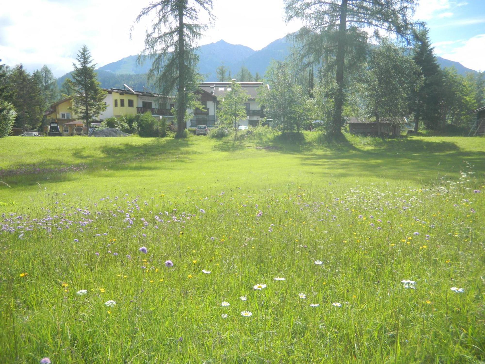 Landhaus Charlotte Am Geigenbuehel -Apartments Seefeld w Tirolu Zewnętrze zdjęcie