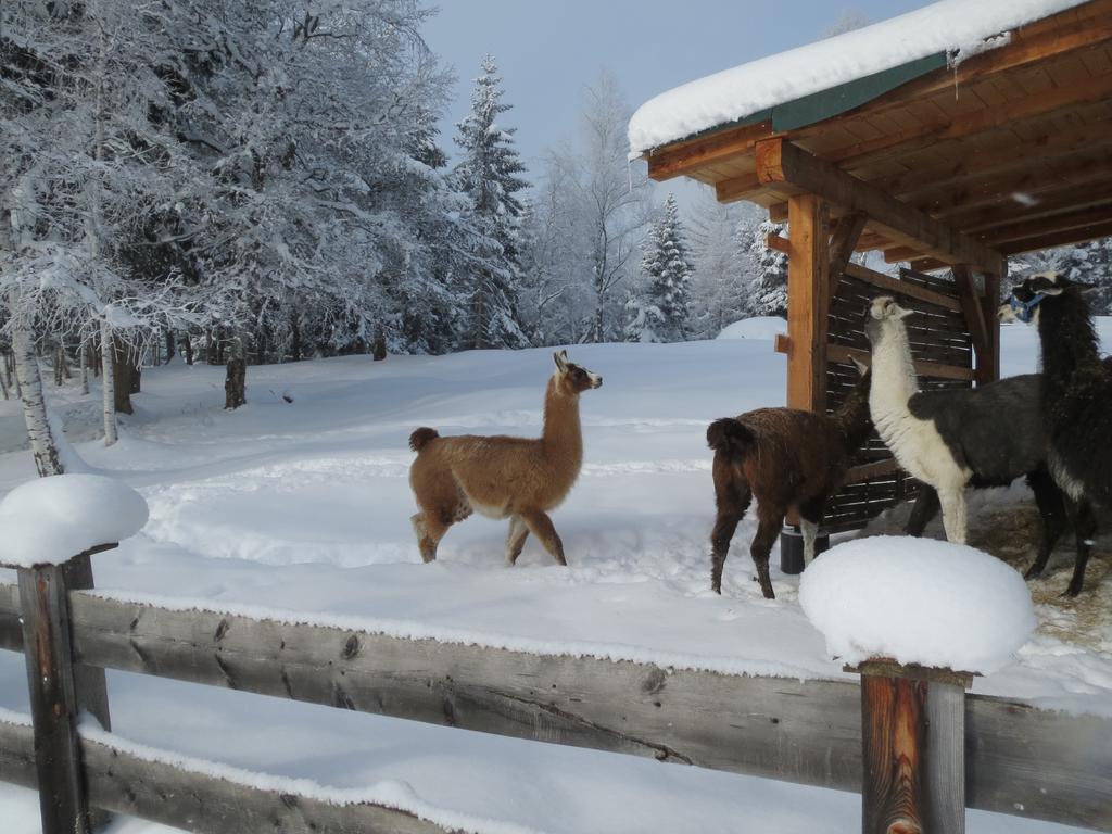 Landhaus Charlotte Am Geigenbuehel -Apartments Seefeld w Tirolu Zewnętrze zdjęcie